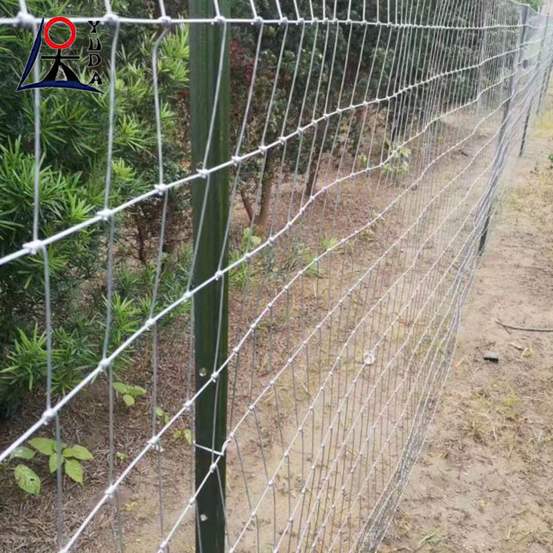 Grassland Mesh Galvanized Cattle Fence / Deer Fence High Tensile Field Fence 50m 100m