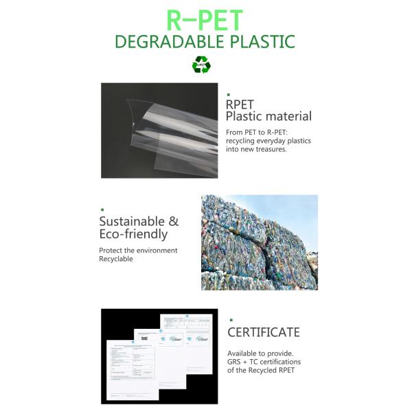 Eco Friendly and Custom logo PET/PVC/PP Plastic Packaging Box for Cosmetic Nail Polish Packaging