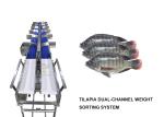 Conveyor Belt Weight Sorting Machine Chicken Wing Fish Grader Circular Multi