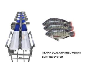 China Dual Channel Tilapia Weight Sorting Machine 6 Level wholesale