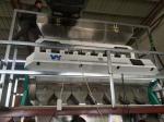 Mini Oats Barley Grain Cereal Wheat Color Sorter LED Variable Light