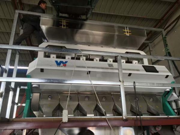 Quality Mini Oats Barley Grain Cereal Wheat Color Sorter LED Variable Light for sale