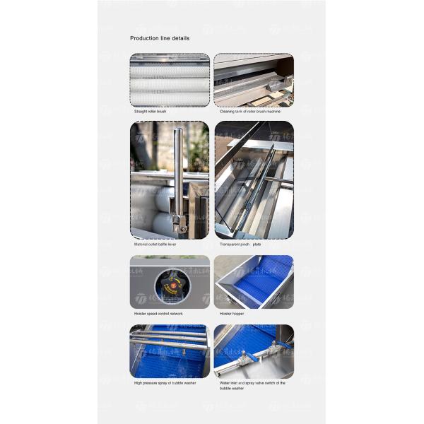 SS Fruit And Vegetable Hair Roller Bubble Cleaning Machine 800KG/H
