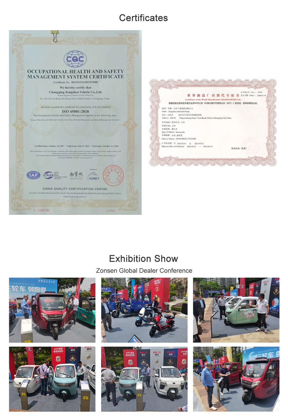 Electric Mobility E Scooters Taxi 3 Wheel Car Tricycle Motorcycle with Rear Suspension