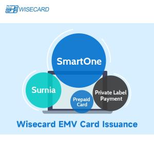 China Enhanced EMV Personalization Solution for Secure Payment Card Customization wholesale
