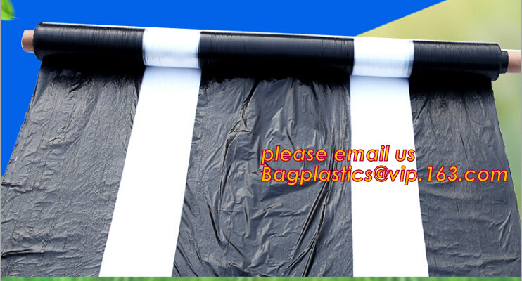 HOTICULTURAL MULCH FILM,AGRICULTURAL PE FILM,MARKET GARDENERS CLOCHE FILM,PE FILM FOR CORN,PLASTIC FILM COVER,TOMATO COV