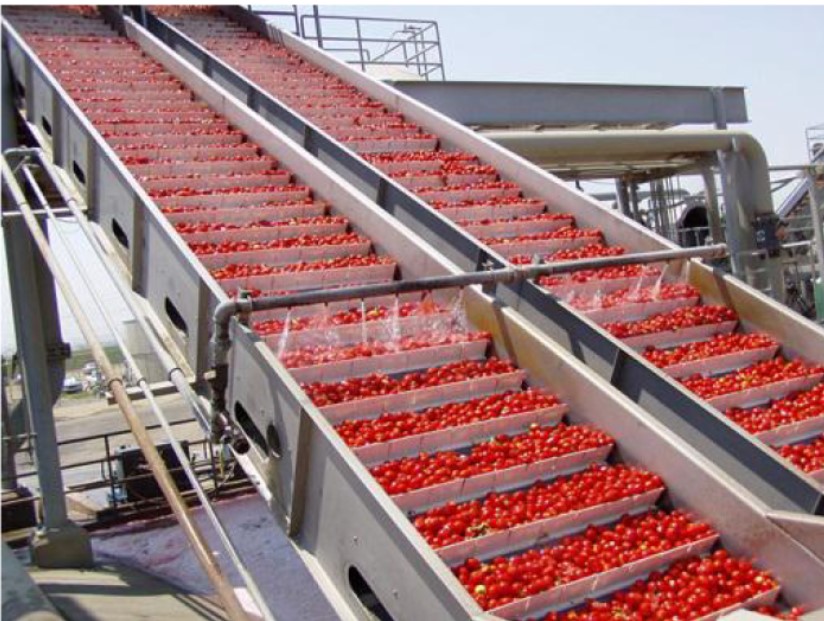 1-100t/H Pomegranate Juice Processing Line Carrot/Apple/Strawberry/Tomato/Pear Juice Jam Beverage Production Line