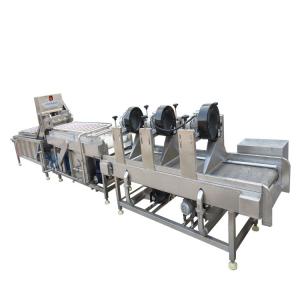 China Fully Automatic Fruit And Vegetable Processing Machinery 300-1000kg/h wholesale