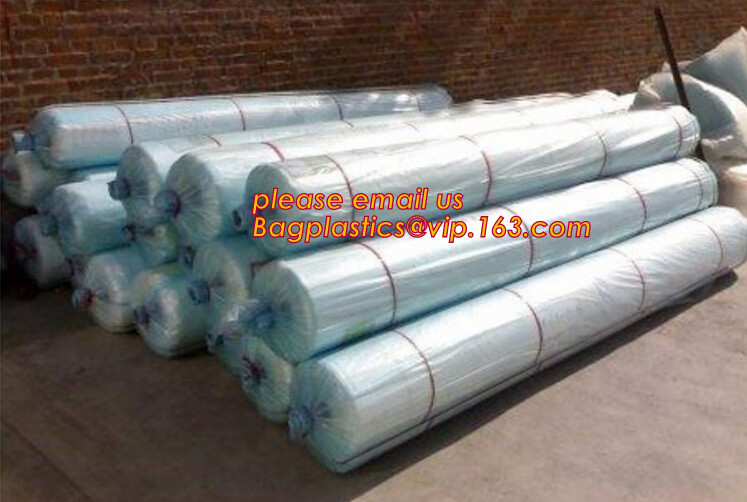agriculture anti insect net on roll insect proof mesh for greenhouse,Greenhouse Anti Insect Netting /Agriculture Netting