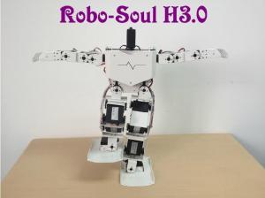 China Robotics equipment Large torque digital servo Support 17 DOF Humanoid robot wholesale