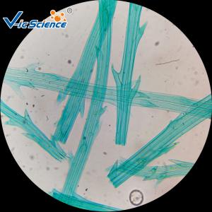 China Medical Science Biological Ready Made Microscope Slides Set 50pcs wholesale