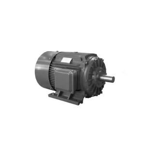 Single Phase Induction Motor And Three Phase Induction Motor Ac 0.75Kw 1HP 3hp