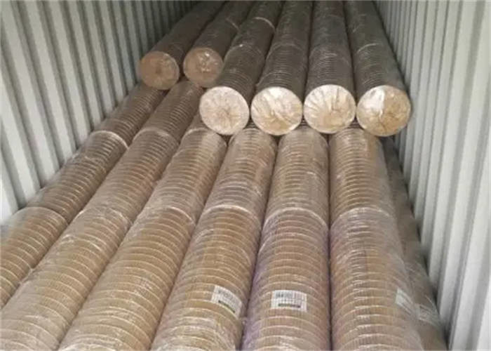 Galvanized After Weld Wire Mesh 6' X 100' Hot Dipped Galvanized Mesh