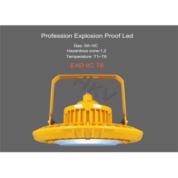 EXD IIC T6 Industrial Industrial High Bay LEDLights 50W Low Energy