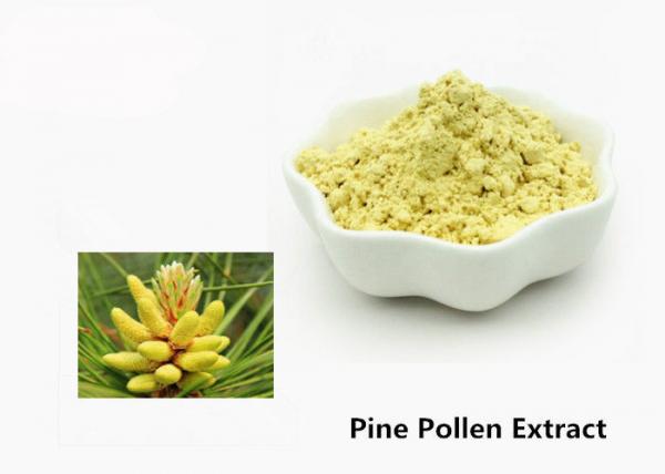 Quality Health Care 1kg Natural Pine Pollen Extract Powder for sale