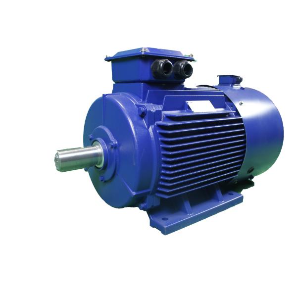 83.5% Three Phase Asynchronous Motor YVFE4 80M1-2 0.75KW
