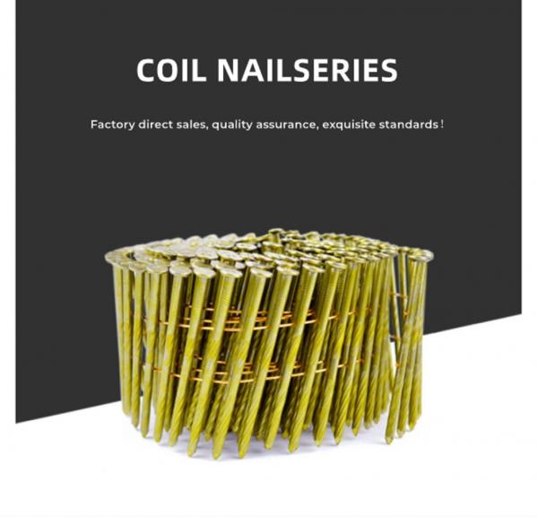 Painted Pallet Coil Nail 0.099&prime;&prime;x2 1/4 Wire Nail for Pallets