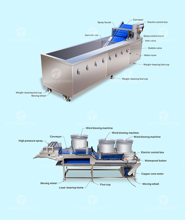 Automatic Fruit And Vegetable Processing Line Selection Washing Drying