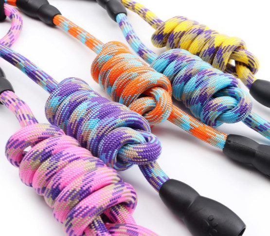 puppy harness and lead set