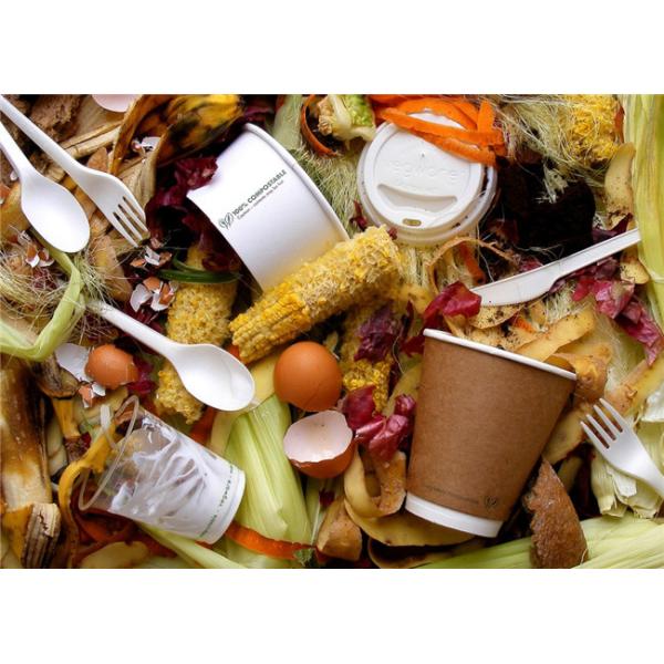 850ML Sugarcane Takeaway Biodegradable Salad Boxes