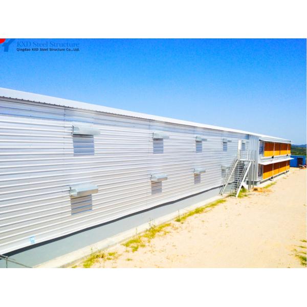 Commercial Steel Structure Poultry House with Feeding & Drinking Systems