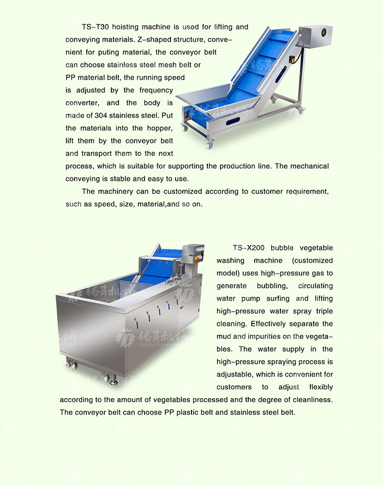 Supermarket Fruit And Vegetable Processing Line Cutting Lifting Washing