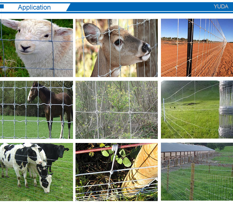 Grassland Weave Iron Wire Mesh Field Fence For Cattle Metal Net