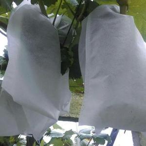 Anti UV Fruit Tree Protection Bags , Spunbond Nonwoven Bags To Cover Fruit On Trees