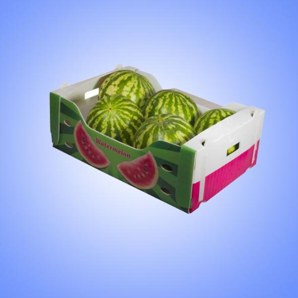 Fruit Vegetable Corrugated Plastic Packaging Boxes