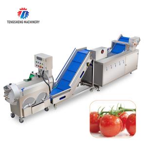 China Customized Potato Fruit And Vegetable Processing Line wholesale