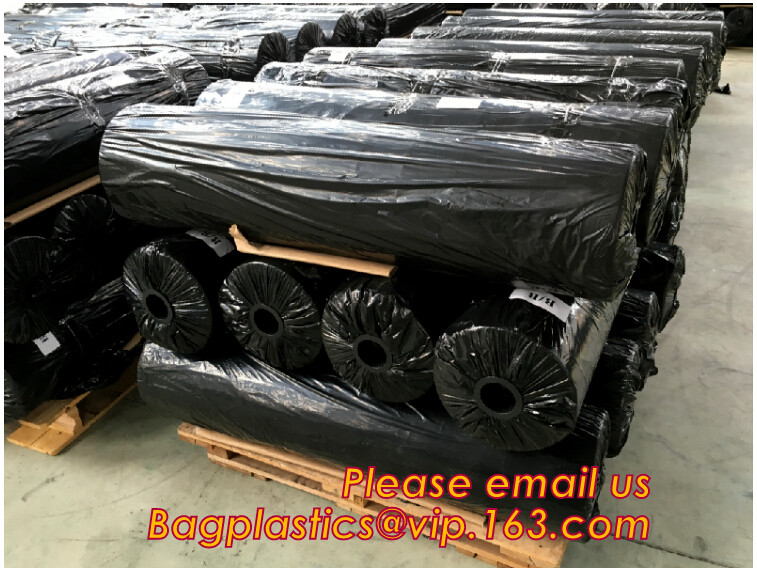 HOTICULTURAL MULCH FILM,AGRICULTURAL PE FILM,MARKET GARDENERS CLOCHE FILM,PE FILM FOR CORN,PLASTIC FILM COVER,TOMATO COV