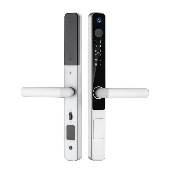 Zinc Alloy Camera Smart Lock Tuya Ring Camera Door Lock CE Approval