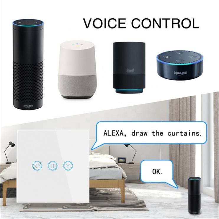 240VAC Alexa Google Smart Switch Panel Home Tuya Zigbee Smart Switch