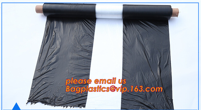 HOTICULTURAL MULCH FILM,AGRICULTURAL PE FILM,MARKET GARDENERS CLOCHE FILM,PE FILM FOR CORN,PLASTIC FILM COVER,TOMATO COV