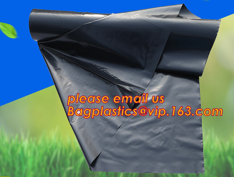 HOTICULTURAL MULCH FILM,AGRICULTURAL PE FILM,MARKET GARDENERS CLOCHE FILM,PE FILM FOR CORN,PLASTIC FILM COVER,TOMATO COV