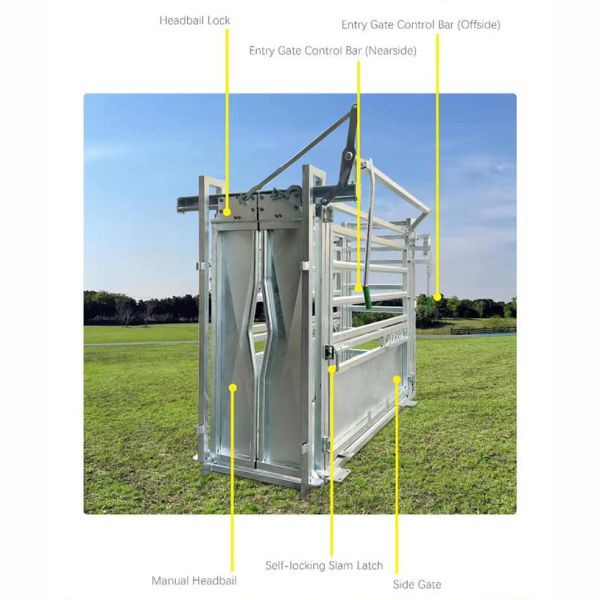Professional galvanized steel cattle crush for safe and efficient livestock handling. Features adjustable restraints, durable construction, and smooth operation for veterinary work and farm management