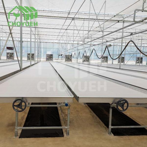 Quality Commercial Greenhouse Tables Versatile Greenhouse Plant Bench 1.2mm for sale