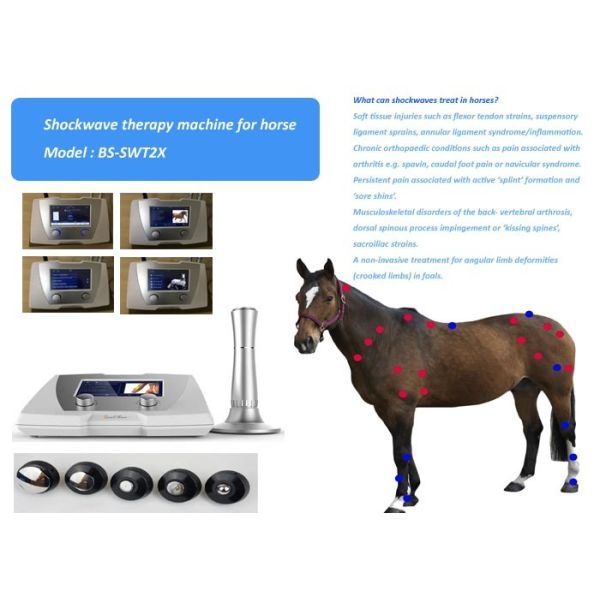 High Pressure Adjustable 1-22Hz Shockwave Machine For Horse Treatment
