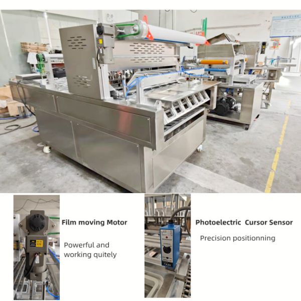 Linear Automatic MAP Tray Sealing Machine Modified Atmosphere Packaging Equipment