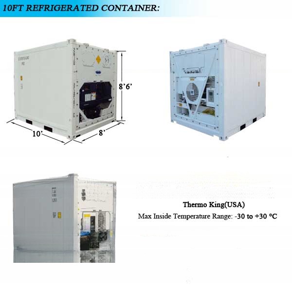 10FT 10 Feet 3 Meter Cold Storage Refrigerated Reefer Container with Sling Door Opening Size 2.290 x 2.206 m Third Hand