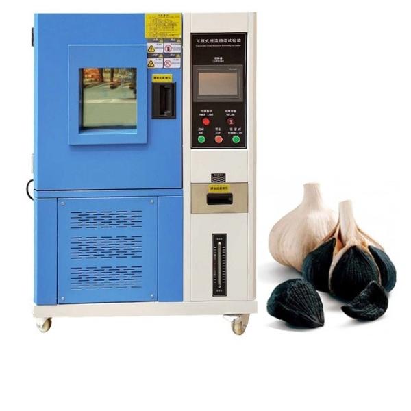 Quality Energy Efficient  Black Garlic Fermenting Machine ODM  Acceptable for sale