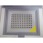 96 Well PCR Machine For Lab Use Testing DNA RNA HIV COVID19 TEST