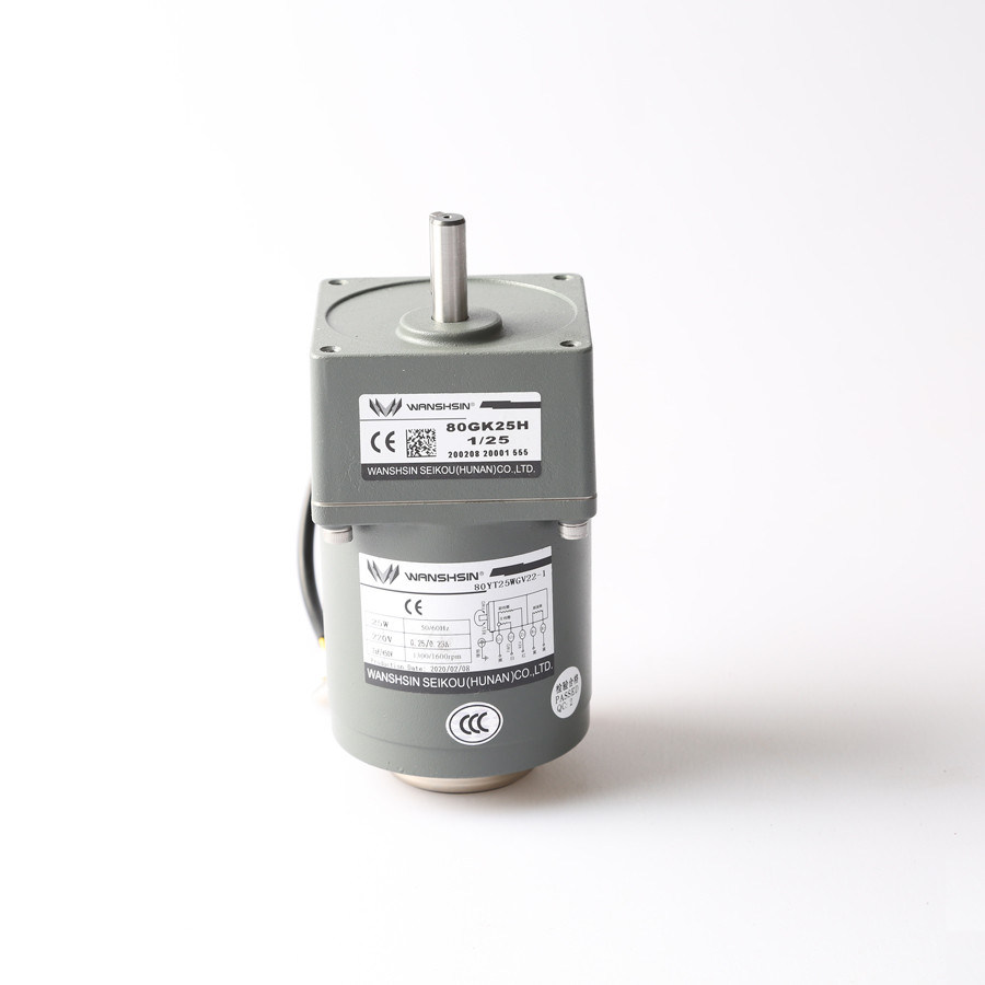 Single Phase 110V / 220V Micro AC Variable Speed Gear Motor With Speed Controller