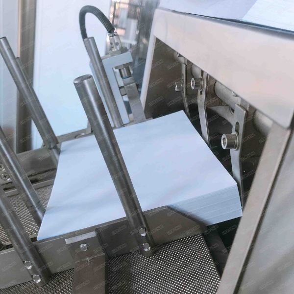 ZH-120D Automatic Cartoner Fit Blister Strip With Auto Blister Cartoner