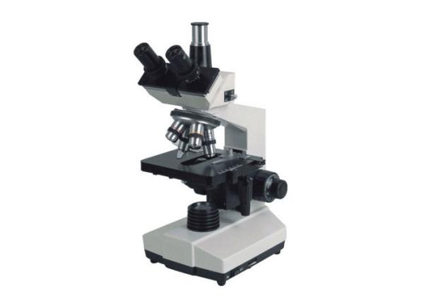 Quality 4X-100X Student Compound Microscope , Double Layer Student Stereo Microscope for sale