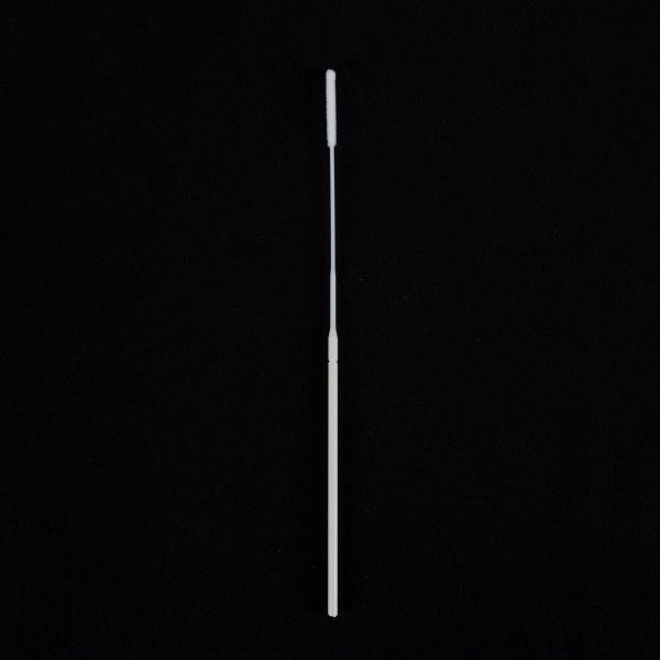 2 Years Shelf Life Virus Class I Disposable Oral Swabs 150mm