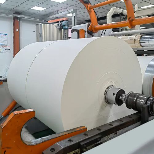 Customized PE/PLA laminated coated paper roll sample