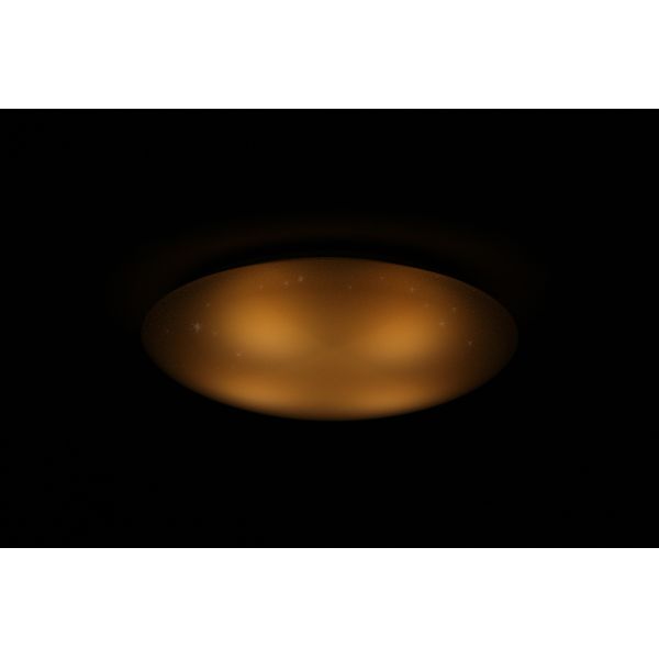 IP40 Star Sky Series LED Inside Ceiling Lights Luminous Flux 6 Level Adjustable