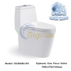 Buy cheap SIGMAR6105 Sanitary Ware Bathroom Closestool Washdown One-Piece Toilet Bowl from wholesalers
