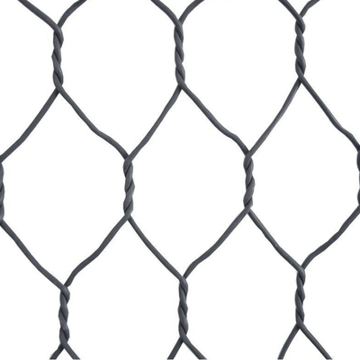 Wall Gabion Mesh Roll Hexagonal Lead Low Price Hot Dipped Galvanized Wire Mesh Silver Protection China Gabion Baskets Gabion Net
